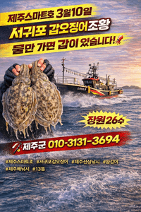 서귀포갑오징어조황  선상낚시로 잡은 물고기 조황