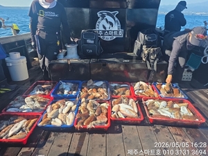 서귀포갑오징어대박조황  선상낚시로 잡은 물고기 조황