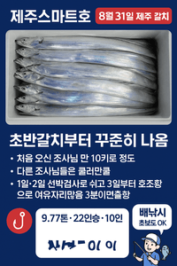8월31일 제주갈치호조황 선상낚시로 잡은 물고기 조황