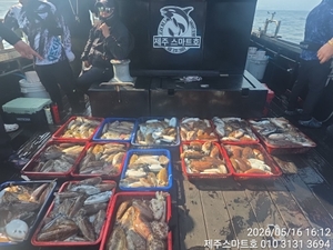 서귀포갑오징어대박조황  선상낚시로 잡은 물고기 조황