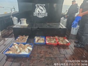 한림갑오징어조황  선상낚시로 잡은 물고기 조황