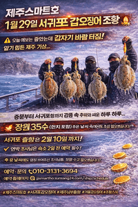 서귀포갑오징어조황  선상낚시로 잡은 물고기 조황