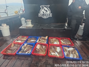 한림갑오징어조황  선상낚시로 잡은 물고기 조황