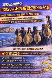 서귀포갑오징어조황  선상낚시로 잡은 물고기 조황