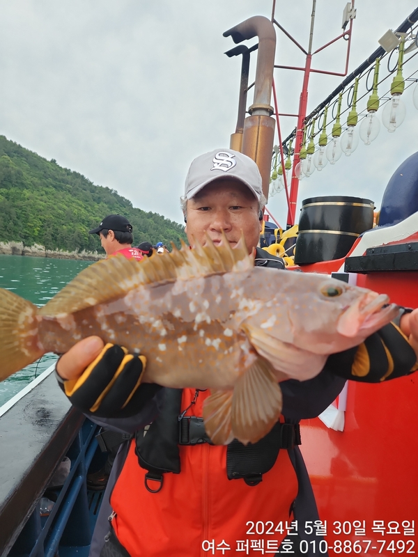 여수 퍼펙트호 의 조황일지 이미지 - 6