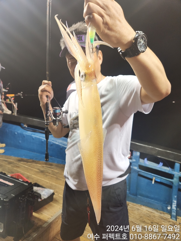 여수 퍼펙트호 의 조황일지 이미지 - 4