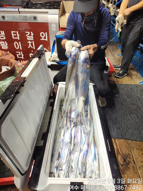 여수 퍼펙트호 의 조황일지 이미지 - 9