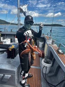 문어 갑오징어 출항일정입니다. 문의 바랍니다.  선상낚시로 잡은 물고기 조황