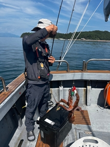 물대 좋아지는 금요일부터 돌문어 모집합니다.  선상낚시로 잡은 물고기 조황