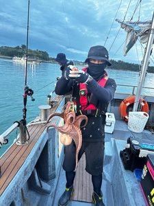 일요일 문어 조황. 갑오징어 탐사 출조 모집합니다.  선상낚시로 잡은 물고기 조황