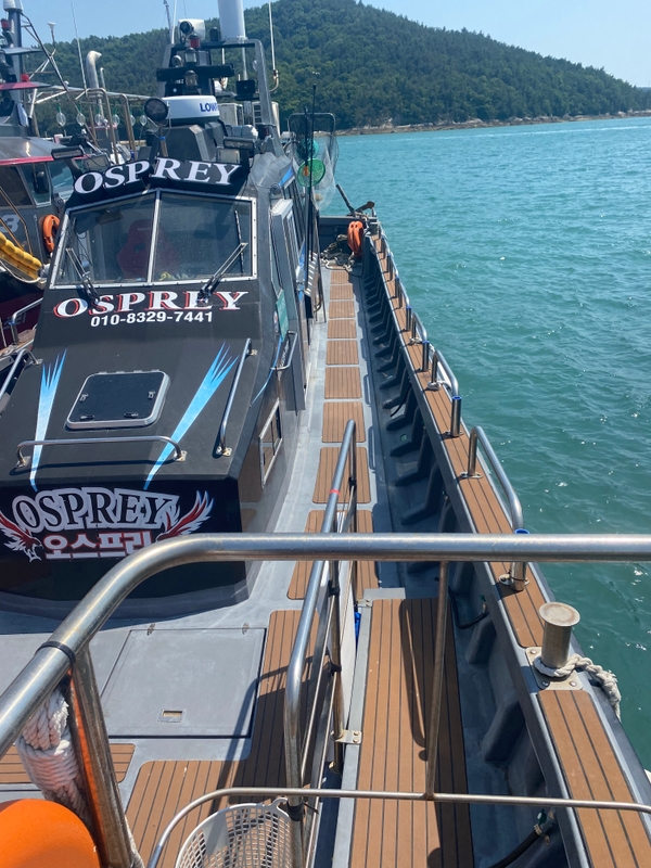 해당 선사를 대표하는 이미지