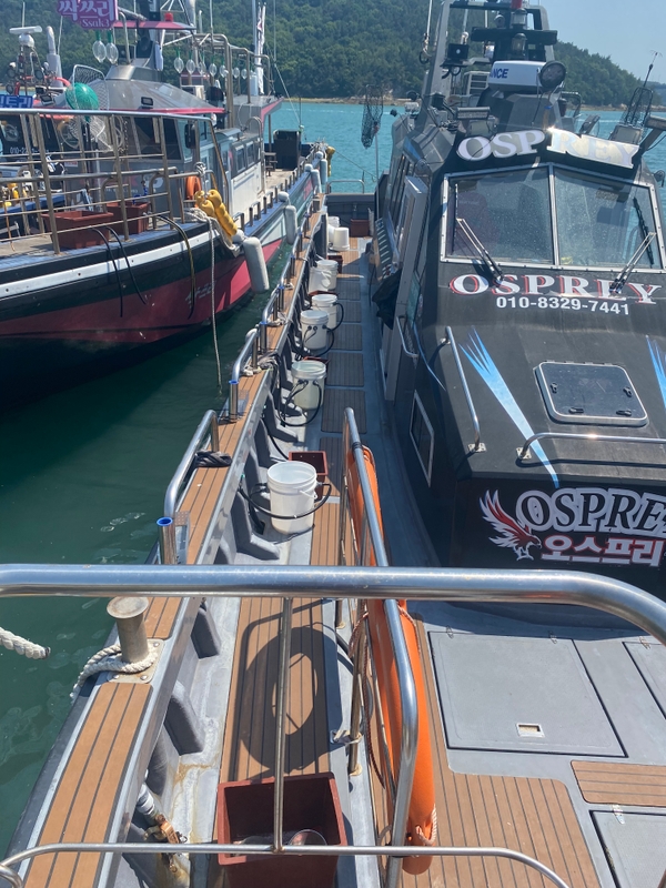 해당 선사를 대표하는 이미지