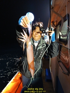 4/23 한치가 올라오기 시작했네요 선상낚시로 잡은 물고기 조황