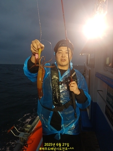 6/21 수중전 한치낚시 선상낚시로 잡은 물고기 조황