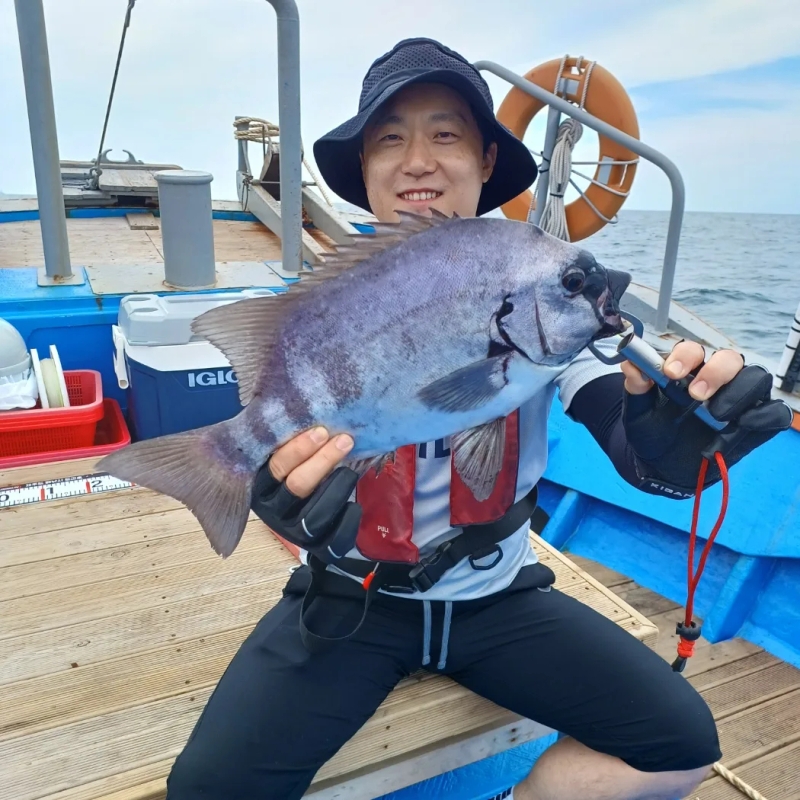 해당 선사를 대표하는 이미지