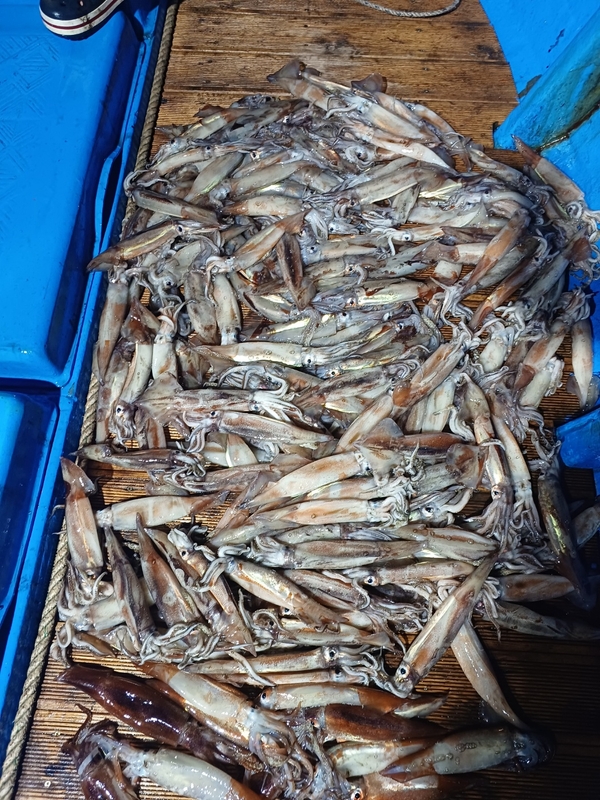 해당 선사를 대표하는 이미지