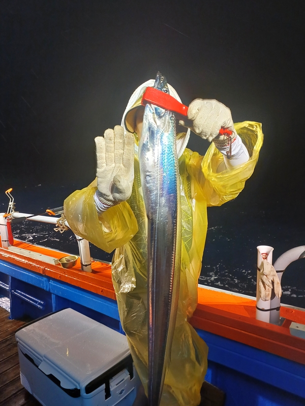 해당 선사를 대표하는 이미지