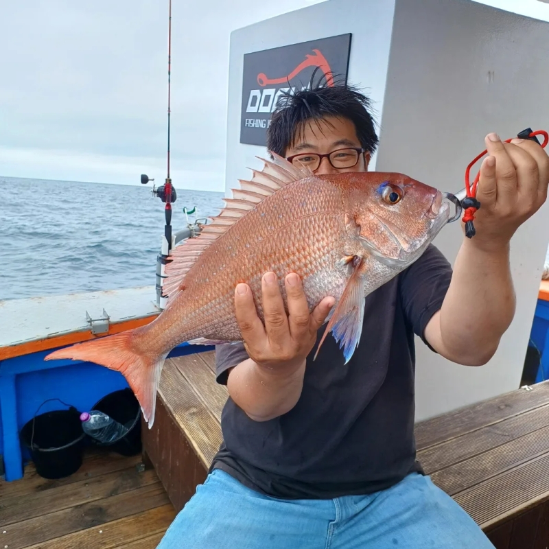 해당 선사를 대표하는 이미지