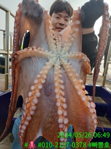 크라켄 두둥~~~ 선상낚시로 잡은 물고기 조황