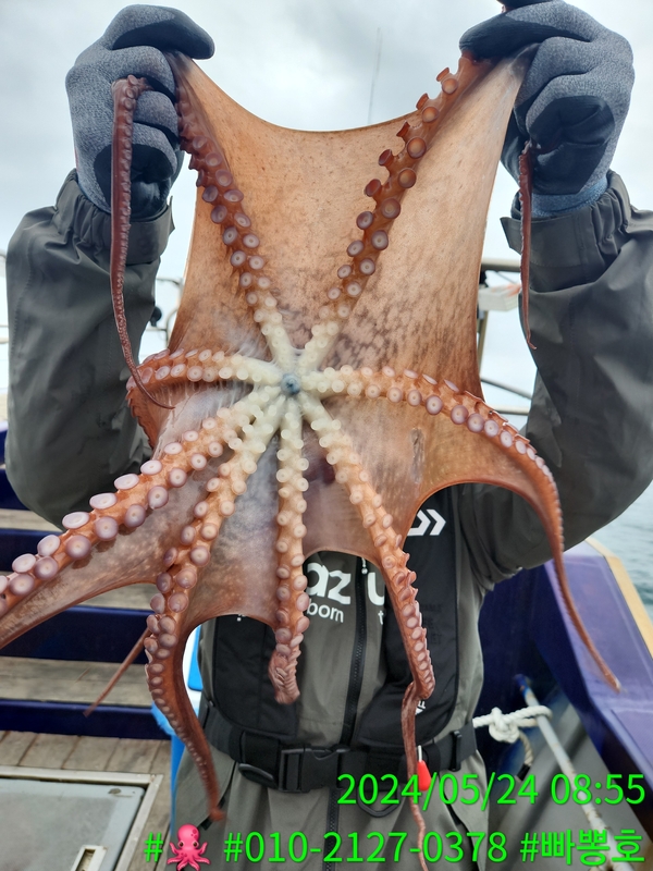 빠뽕호의 조황일지 이미지 - 4