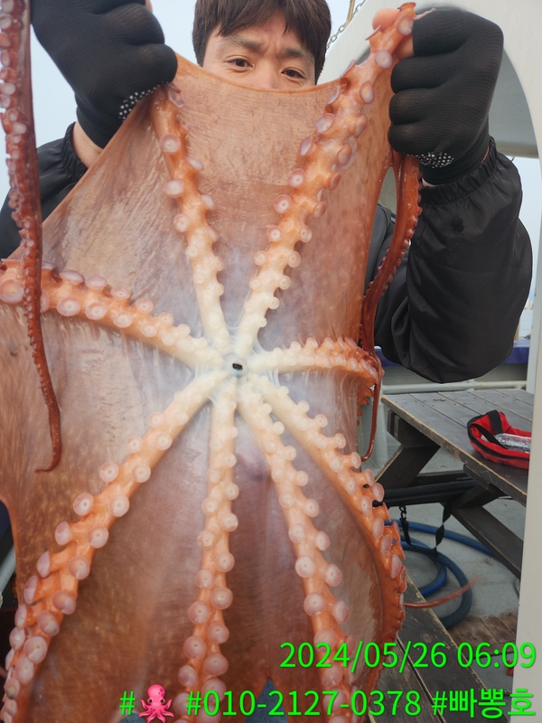 빠뽕호의 조황일지 이미지 - 8