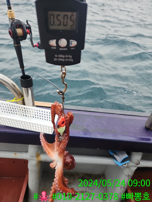 빠뽕호의 조황일지 이미지 - 15