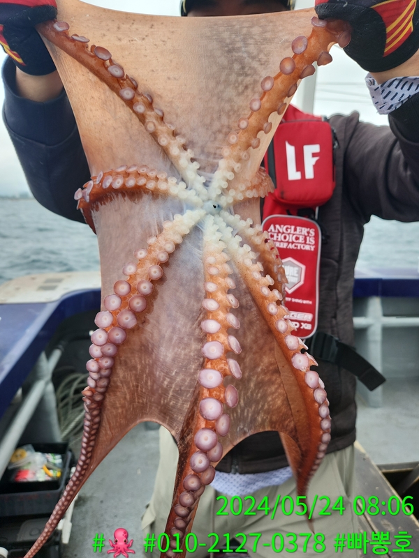 빠뽕호의 조황일지 이미지 - 6