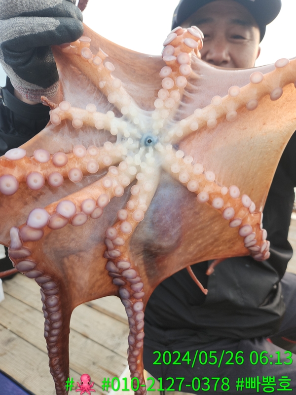 빠뽕호의 조황일지 이미지 - 5