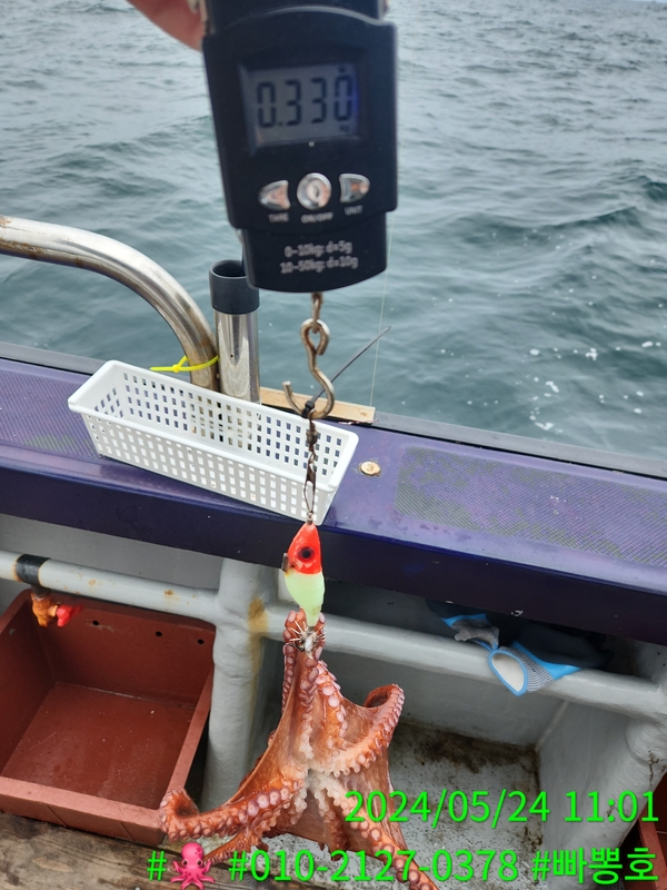 빠뽕호의 조황일지 이미지 - 16