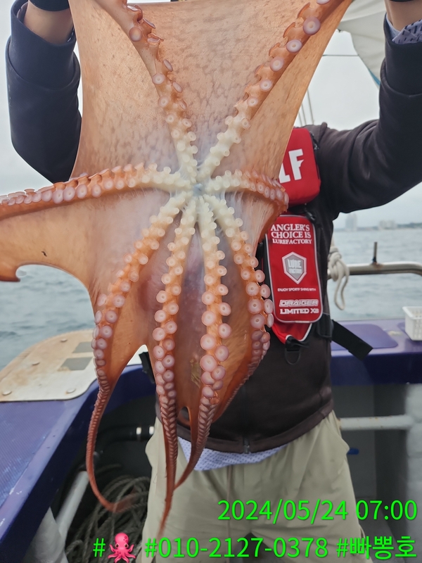 빠뽕호의 조황일지 이미지 - 7