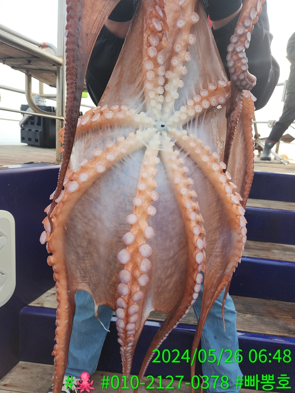 빠뽕호의 조황일지 이미지 - 2