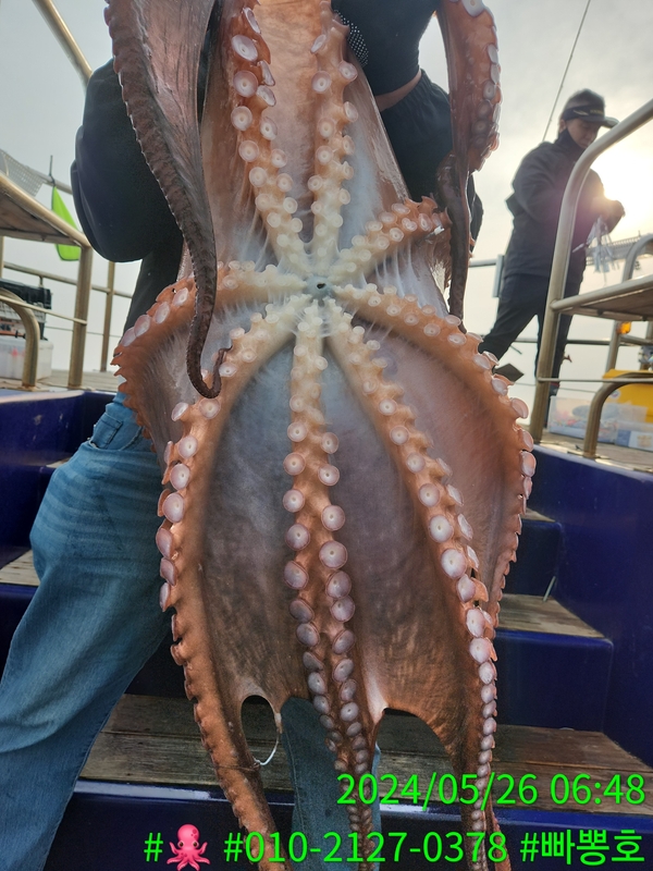 빠뽕호의 조황일지 이미지 - 3