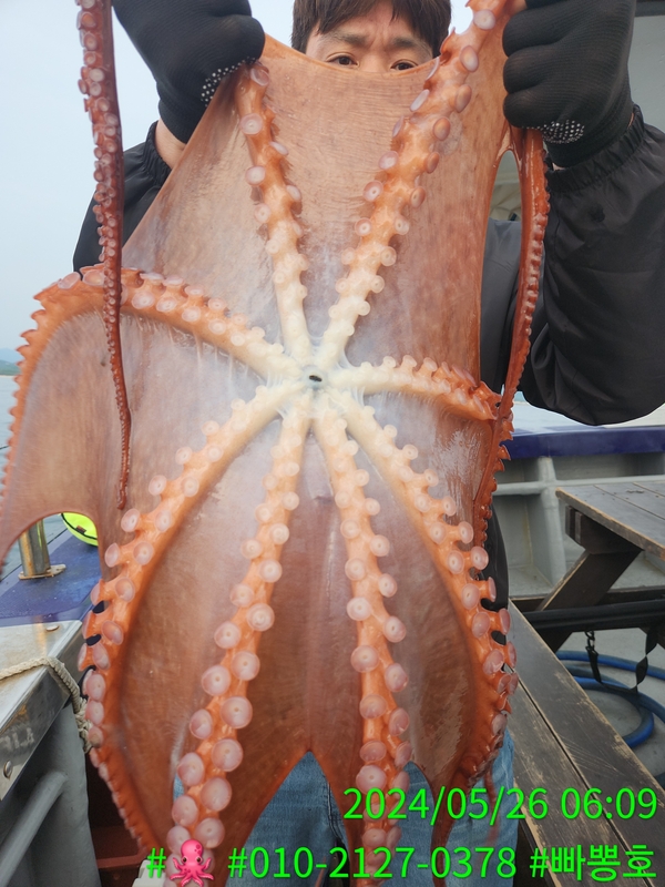 빠뽕호의 조황일지 이미지 - 7