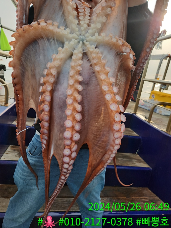 빠뽕호의 조황일지 이미지 - 1