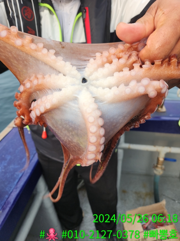 빠뽕호의 조황일지 이미지 - 4