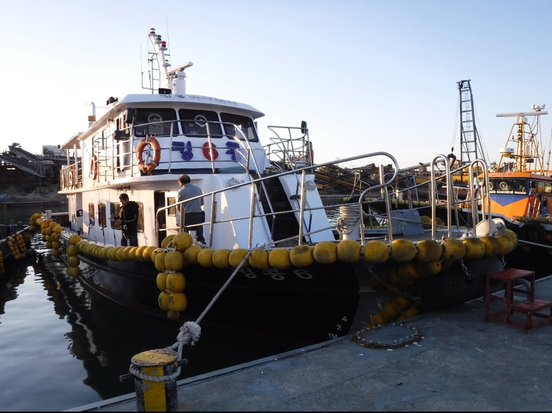 해당 선사를 대표하는 이미지