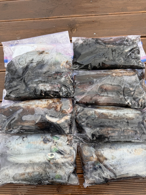 제주 데이지호(9.77t)의 조황일지 이미지 - 7