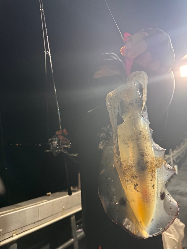 제주 데이지호(9.77t)의 조황일지 이미지 - 2