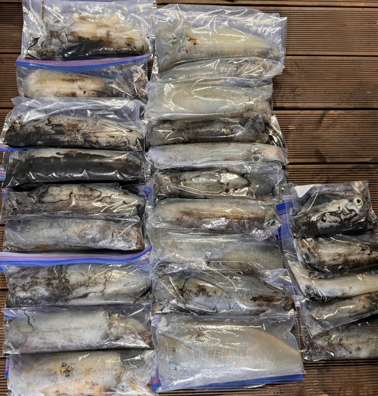 제주 데이지호(9.77t)의 조황일지 이미지 - 6