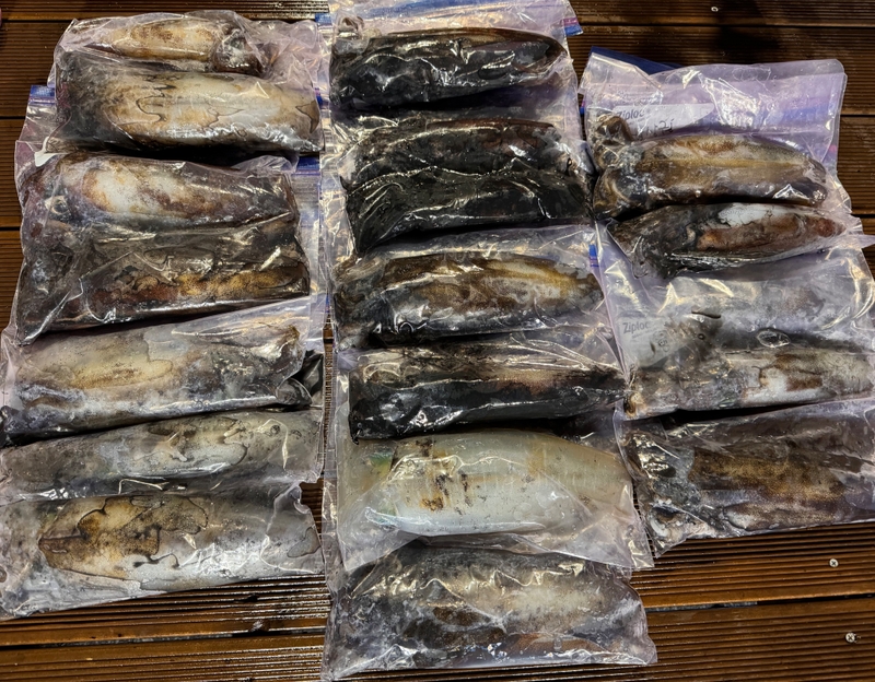 제주 데이지호(9.77t)의 조황일지 이미지 - 7