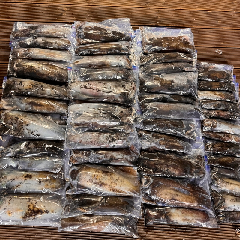 제주 데이지호(9.77t)의 조황일지 이미지 - 7