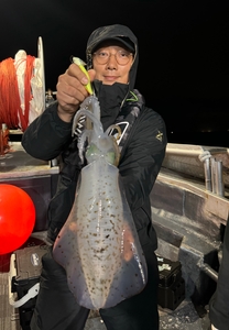 11월 9일 무늬오징어 팁런 1부  선상낚시로 잡은 물고기 조황