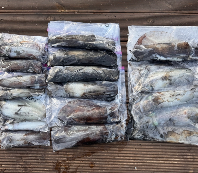 제주 데이지호(9.77t)의 조황일지 이미지 - 12