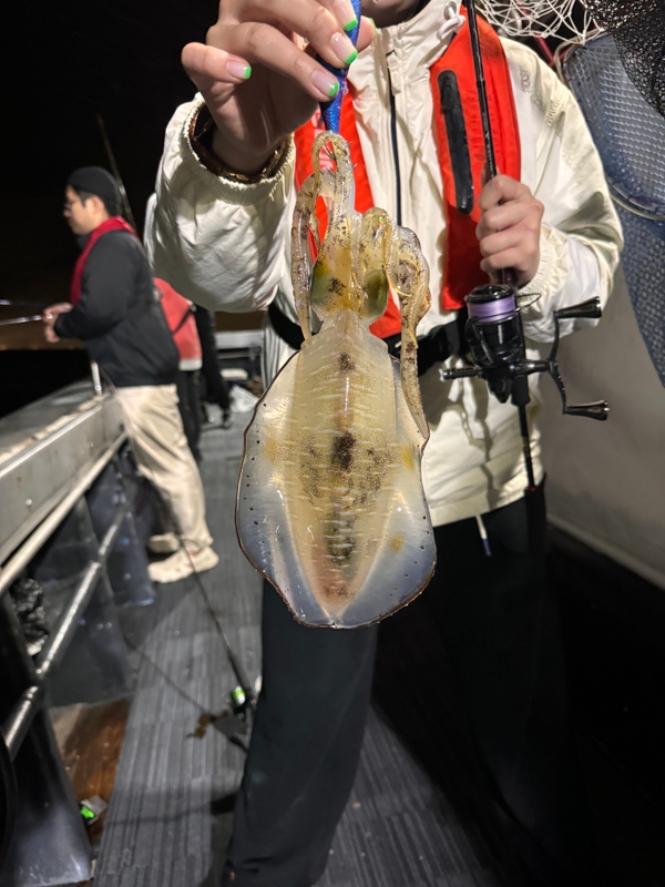 제주 데이지호(9.77t)의 조황일지 이미지 - 3