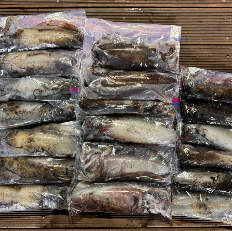 제주 데이지호(9.77t)의 조황일지 이미지 - 6