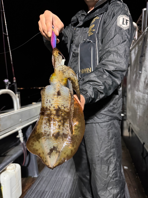 제주 데이지호(9.77t)의 조황일지 이미지 - 2