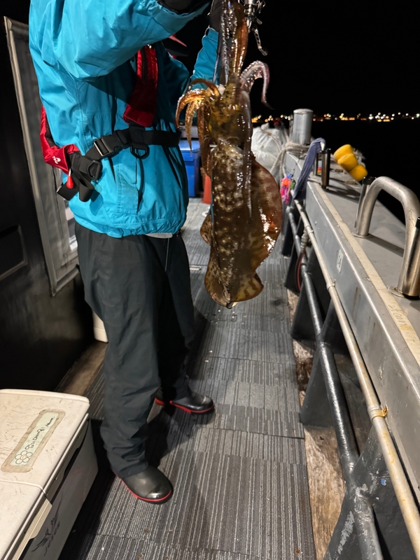 제주 데이지호(9.77t)의 조황일지 이미지 - 4