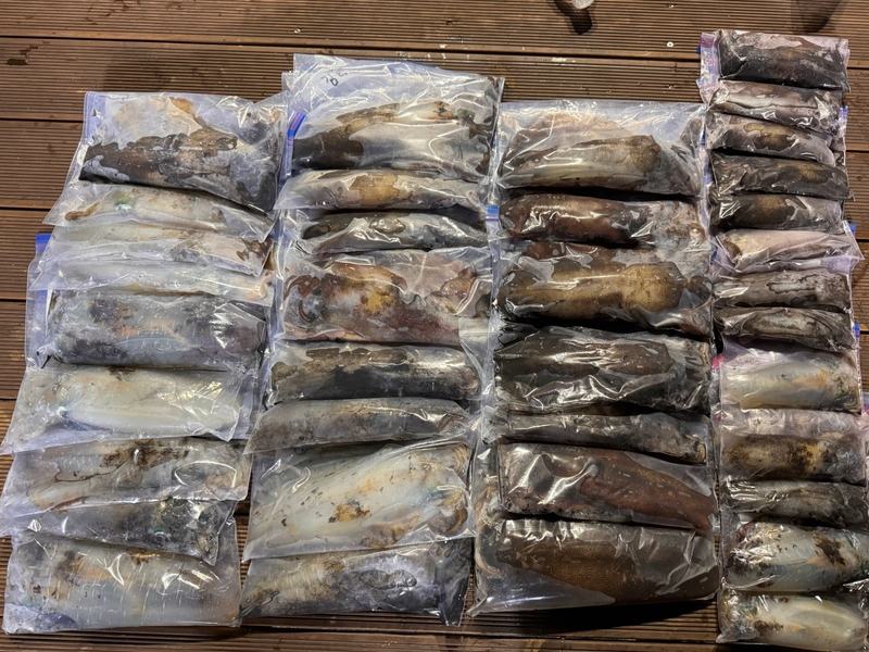 제주 데이지호(9.77t)의 조황일지 이미지 - 5