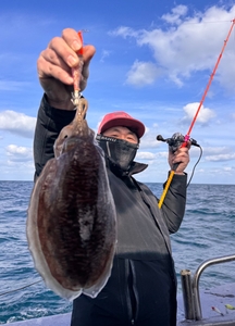 12월 30일 갑오징어 출조 (사이즈 굿!!) 선상낚시로 잡은 물고기 조황