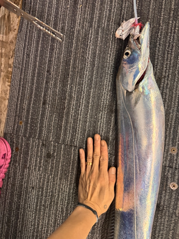 제주 데이지호(9.77t)의 조황일지 이미지 - 4